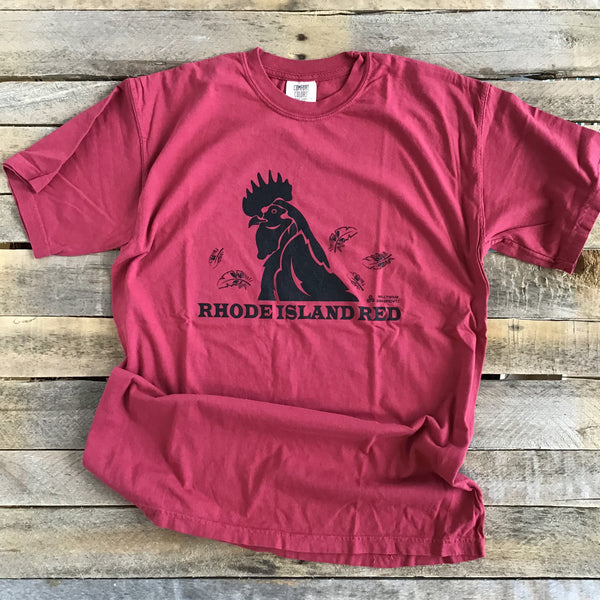 Rhode Island Red