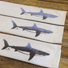 Great White Shark Tea Towel