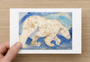 Polar Bear Card